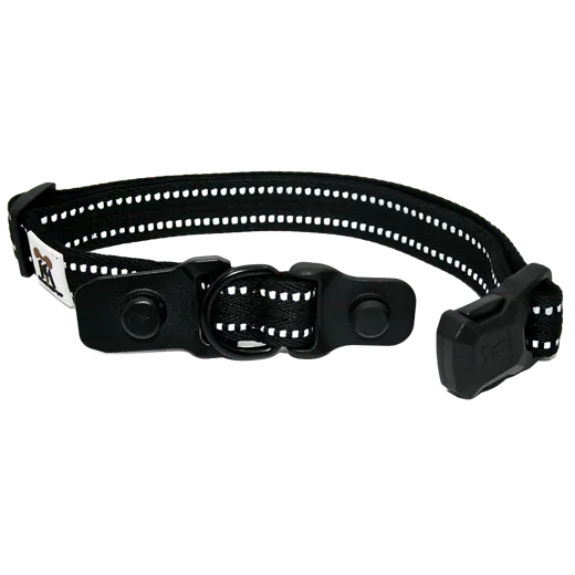 Black MagnePup magnetic collar with reflective stitching.