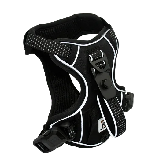 Black MagnePup magnetic harness with reflective piping and D-hooks.